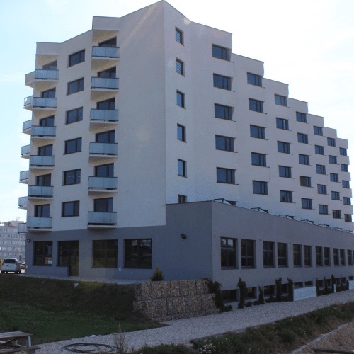 Diamant Vajnory